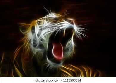 Beautiful Tiger Open Mouth Gorgeous Beautiful Art