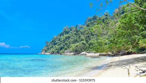 Beautiful Tioman Island Malaysia Pulau Tioman Stock Photo (Edit 