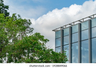 Beautiful Top Part Of Modern Glass Building With Big Tree Aside, Background Of Blue Sky And Clouds. Concept For Corporate Buildings.