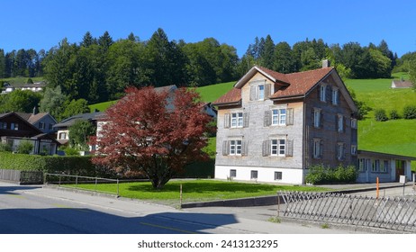 Beautiful town in Switzerland. Nice weather clear blue sky Sunny day Sunshine Summer Spring Autumn. Red Maple tree in front of old wooden House. living with nature quiet private place. Enjoy easy live - Powered by Shutterstock