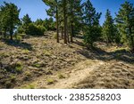 Beautiful trails in the Santa Rosa mountains near Toro Peak in Southern California.