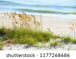 Beautiful tranquil shoreline beach scene with sea oats and gentle waves rolling on to a clean sandy slope on a sunny morning.