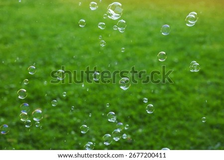 Beautiful transparent soap bubbles floating in park