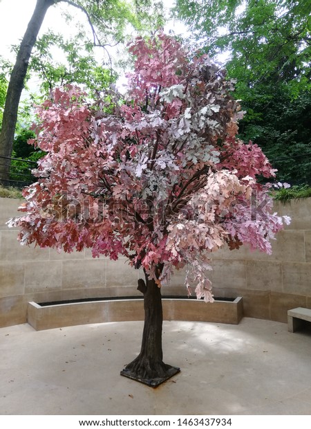 Beautiful Tree Imitation Pink Leaves Piece Stock Photo Edit Now