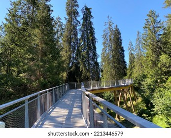 Beautiful Tree Top Walk In Laax Switzerland