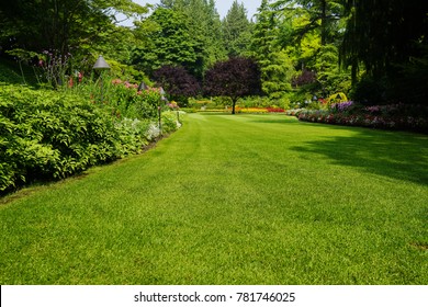 Beautiful trees and green grass  in  garden.