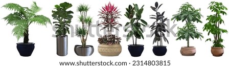 Beautiful trees in pots. Beautiful tree on a white background. It is convenient to cut and combine with other tasks.
