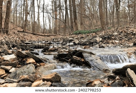 Beautiful trickling stream flowing through the woods