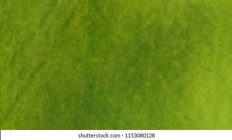 Beautiful trimmed green grass texture background. Golf course or football from a bird's eye view.