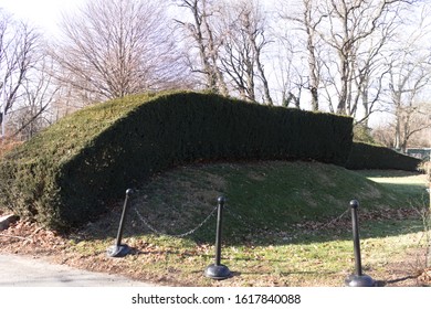 Beautiful Trimmed Tree Edging At The Brooklyn Botanic Garden Located In Flatbush Brooklyn NY On A Sunny Winter Day January 15 2020