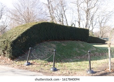 Beautiful Trimmed Tree Edging At The Brooklyn Botanic Garden Located In Flatbush Brooklyn NY On A Sunny Winter Day January 15 2020