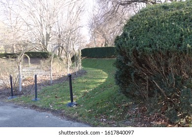 Beautiful Trimmed Tree Edging At The Brooklyn Botanic Garden Located In Flatbush Brooklyn NY On A Sunny Winter Day January 15 2020