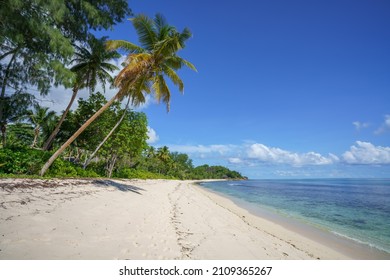 beautiful tropical beach anse georgette on praslin island on the seychelles