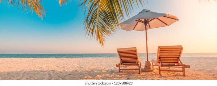 Beautiful tropical beach banner. White sand and coco palms travel tourism wide panorama background concept. Amazing beach landscape
