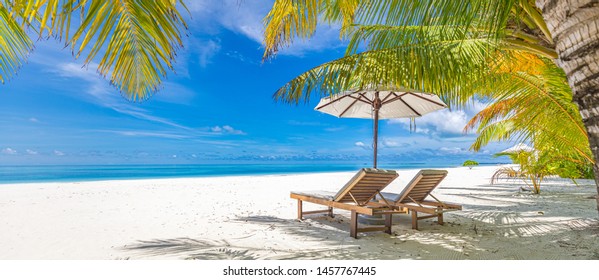Beautiful tropical beach banner. White sand and coco palms travel tourism wide panorama background concept. Amazing beach landscape. Boost up color process. Luxury island resort vacation or holiday