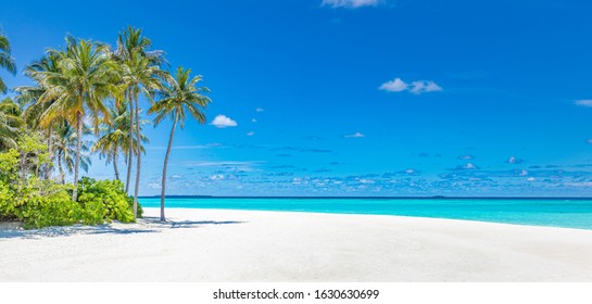 Beautiful tropical beach banner. White sand and coco palms travel tourism wide panorama background concept. Amazing beach landscape. Boost up color process. Luxury island resort vacation or holiday
