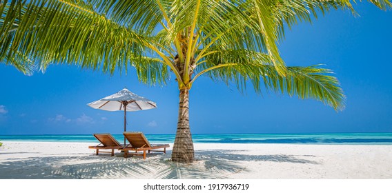 Beautiful Tropical Beach Banner. White Sand Coco Palms Travel Tourism Wide Panorama. Summer Sea Horizon, Idyllic Island Nature Scene. Amazing Beach Landscape. Luxury Island Resort Vacation Or Holiday