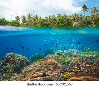 Beautiful Tropical Beach Near Island Of Sulawesi, Indonesia Under And Above Water.