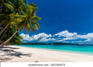 A beautiful tropical beach with palm trees and shallow, clear ocean (White Beach, Boracay) - Shutterstock ID 1457303573