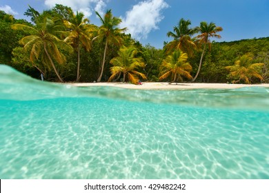 Beautiful tropical beach with palm trees, white sand, turquoise ocean water and blue sky at US Virgin Islands in Caribbean