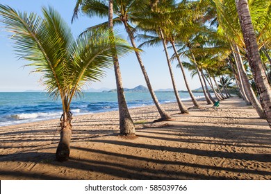 A Beautiful Tropical Beach With Palm Trees At Sunrise In Northern Australia, Cairns, Queensland.