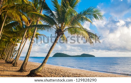 A beautiful tropical beach with palm trees at sunrise in northern Australia