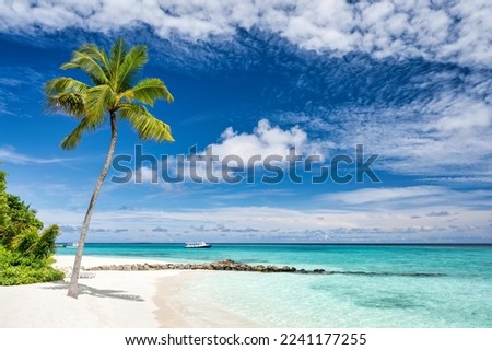 Beautiful tropical beach with palm trees and moody sky. Amazing beach scene vacation and summer holiday concept. Maldives paradise beach. Luxury travel summer holiday background concept.
