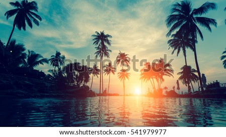 Beautiful tropical beach with palm trees silhouettes at dusk.