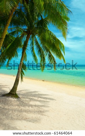 Beautiful tropical beach with palmtrees.