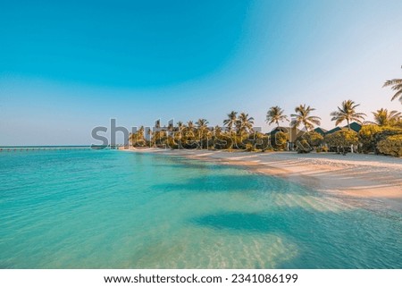 Beautiful tropical beach sea coast. White sand, palm trees, turquoise ocean and blue sky on sunny summer day. Serene landscape background for relaxing vacation. Maldives islands exotic travel paradise