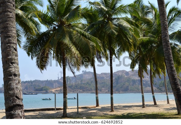 Beautiful Tropical Beach Sea Coconut Palm Parks Outdoor Stock Image