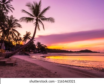 Beautiful tropical beach sea and ocean with coconut palm tree at sunrise time for travel and vacation