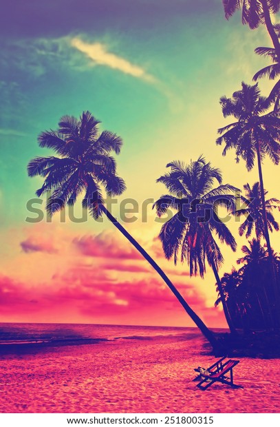 Beautiful Tropical Beach Silhouettes Palm Trees Stock Photo Edit Now