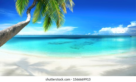 Beautiful tropical beach with white sand, turquoise ocean on  background blue sky on sunny summer day. Palm tree leaned over water. Perfect landscape for relaxing vacation, island of Maldives.