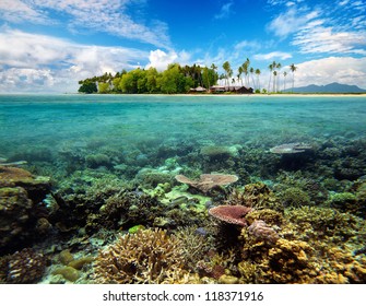 Beautiful tropical Coral island with white sand, palm trees, bungalows, swimming fish.