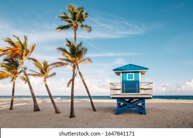 Beautiful tropical Florida landscape with palm trees and blue lifeguard house. Typical American beach ocean scenic view with lifeguard tower and exotic plants. Summer seasonal wallpaper background.