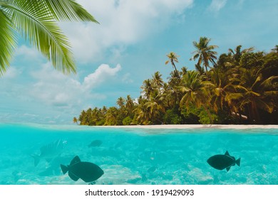 Beautiful Tropical Island Above And Underwater, Travel And Vacation