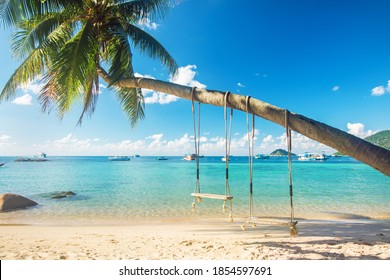 Beautiful tropical island beach with coconut palm trees and two swings, koh Tao, Thailand - Powered by Shutterstock