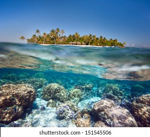 Beautiful Tropical Island In French Polynesia Under And Above Water