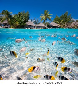 Beautiful tropical island in French Polynesia under and above water