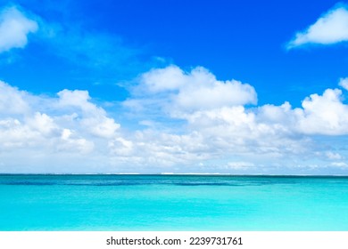 Beautiful tropical landscape of the coast of Bel Ombre and Indian Ocean, Mauritius Island - Shutterstock ID 2239731761