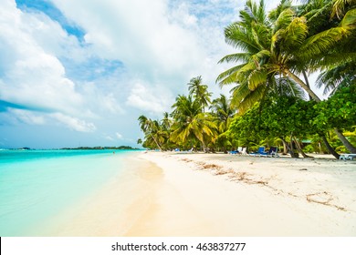 Plage Sable Cocotier Photos Et Images De Stock Shutterstock