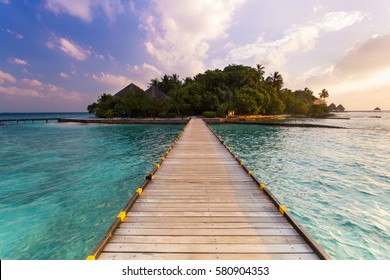 Beautiful tropical Maldives island with beach , sea , and coconut palm tree on blue sky for nature holiday vacation background concept - Boost up color Processing
