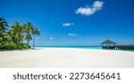 Beautiful tropical Maldives island scene blue sea, blue sky holiday vacation vertical background. Wooden pathway, pier. Amazing summer travel concept. Ocean bay palm trees sandy beach. Exotic nature