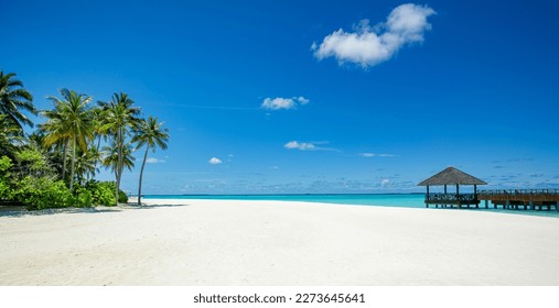 Beautiful tropical Maldives island scene blue sea, blue sky holiday vacation vertical background. Wooden pathway, pier. Amazing summer travel concept. Ocean bay palm trees sandy beach. Exotic nature - Powered by Shutterstock