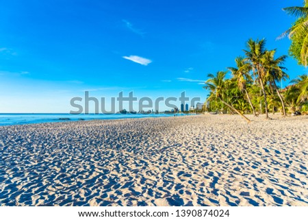 Beautiful tropical outdoor nature landscape of beach sea and ocean with coconut palm tree at Hua hin city Thailand