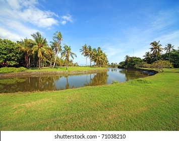 Beautiful tropical park with coconut palm trees at the Bali island, Indonesia.