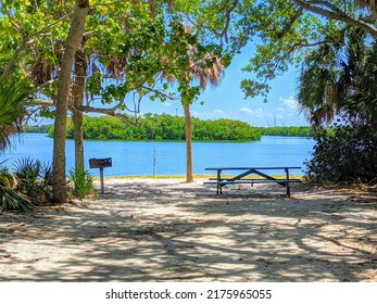 Beautiful Tropical Rv Camping Spot