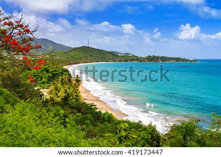 Beautiful tropical summer view of Puerto Rico with red flowers and a white beach