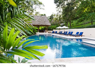 Beautiful Tropical Swimming Pool In The Rain Forest Of Belize